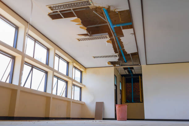 Best Basement water damage restoration  in Rocklin, CA