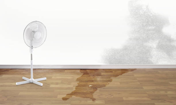 Best Residential water damage restoration  in Rocklin, CA