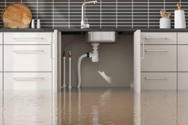 Best Water damage cleanup near me  in Rocklin, CA